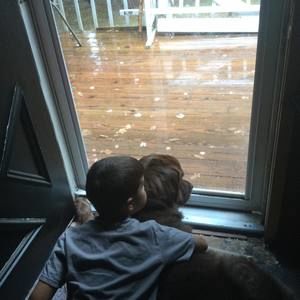 Meet your Posher, Randy